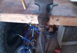 blacksmith old vise great condition