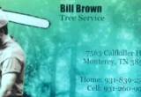 Bill Brown Professional Tree Service