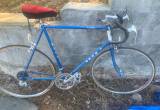 Blue Cavalier Push / bike from Australia