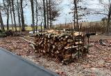 seasoned oak firewood