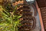 caterpillar D4, or D4 sprockets