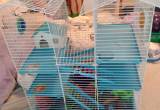Small Animal Cages For Sale!