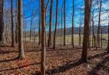 8.7 Ac± WOODED TRACT - ONLINE AUCTION