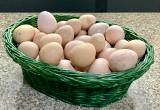 Fertile Guinnea Fowl Eggs