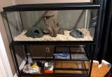 Ball Python with enclosure