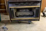 lP Gas fireplace insert