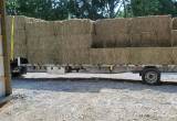 Alfalfa/ Orchard Grass 3x3x8