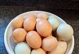 Free range chicken eggs