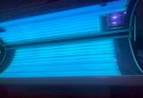 Tanning Bed Wolff Bulbs