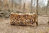 fiReWood