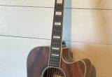 DAngelico Riverside Acoustic Guitar