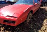 1984 Pontiac Firebird Trans Am