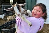 Baby Girl Goat
