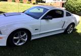 2007 shelby Gt Mustaing