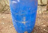 Pig Waterer FREE