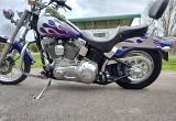 2004 Harley-Davidson Fxsti Softail