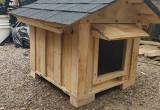 dog houses