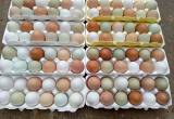 farm fresh eggs