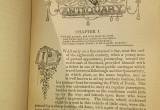 Waverly Novelty Vol. 3 1873! pocket editi